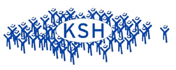 KSH statisztika 2020 – 1021 kérdőív elkészítése a MedMaxban